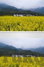91麻豆果冻传媒天美蜜桃-探索多维度娱乐，数字内容平台的创新与影响