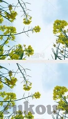 97资源人妻-97资源人妻，在爱与责任中成长