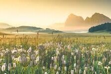 成人免费观看视频-成人内容与网络伦理，界限与责任