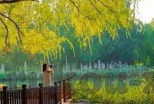 果冻传媒在线观看资源-探索果冻传媒在线观看资源的多样魅力