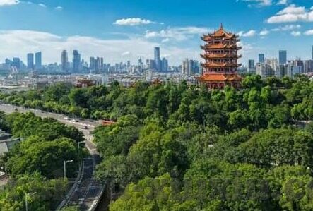 麻豆传媒下载ios-寻觅与界限，解读麻豆传媒下载在iOS平台的探索现象