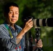 日韩AV无码网看-探索成人娱乐的边界，日韩AV无码网