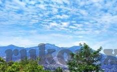 色干人妻-探索人妻的内心世界，色干背后的情感纠葛