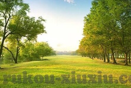 神马影院我不卡手版中文字幕-探索影视新境界，神马影院——流畅观影的中文世界